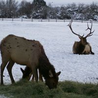 Robert Hamblin Photo 24