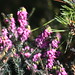 Erica Winters Photo 13