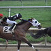 Sarah Mcginn Photo 35