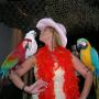 Robin Rice Photo 2