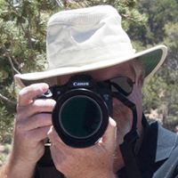 Mark Calvert Photo 33