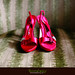 Julie Rogers Photo 33