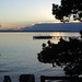 Dawn Phillips Photo 35