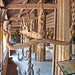 Hang Lin Photo 30