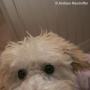 Elizabeth Slater Photo 31