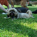 Virginia Samson Photo 14