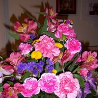 Janice Lang Photo 25
