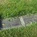 Paul Brown Photo 4