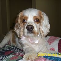 Julie Cary Photo 9