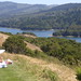 Janet Forrest Photo 32