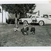 Larry Furman Photo 27