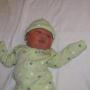 Randy Morris Photo 21