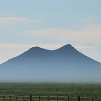 Virginia Groves Photo 15