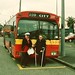 Christine Little Photo 37