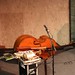Carl Buck Photo 16
