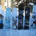 Shawn Cummings Photo 34