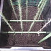 Vicki Seals Photo 12