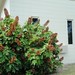 Mary Fleming Photo 32