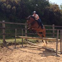 Rachel Meaney Photo 4