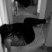 Viviana Ramirez Photo 26