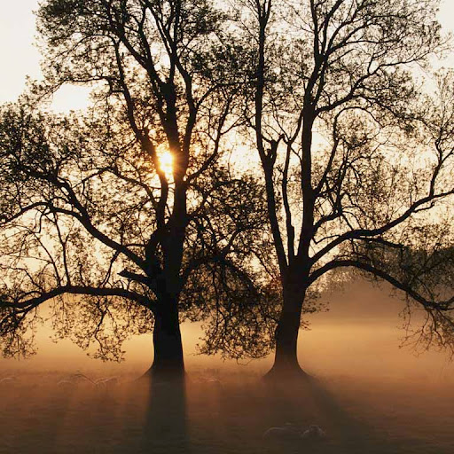 William Michaels Photo 29