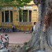 Trung Vuong Photo 33