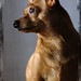 Brian Meis Photo 8