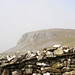 Robin Proctor Photo 32