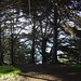 Julia Burns Photo 9