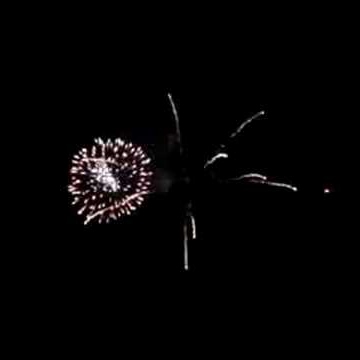 Tom Inman Photo 15