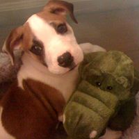 Caroline Griggs Photo 3