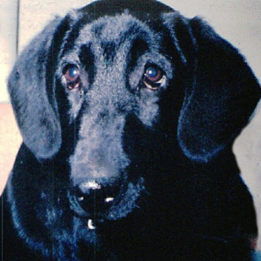 Roy Hatch Photo 2