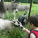 Matthew Ruder Photo 12
