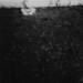 Philip Kay Photo 10