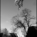 Marcus Garrett Photo 23