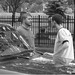 Anthony Vallone Photo 20