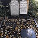 Nasir Ahmad Photo 38