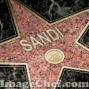 Sandra Conner Photo 19