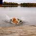 Daryl Mayfield Photo 10