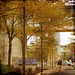 Bruce Burnham Photo 35