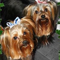 Bobbie Harris Photo 18