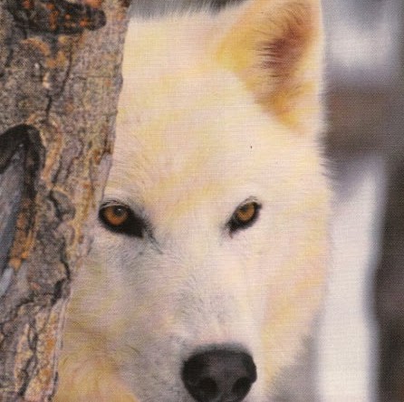 Amy Biggs Photo 25
