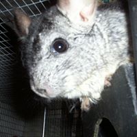 Jeanne Summers Photo 7