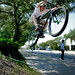 Andrew Tuck Photo 20