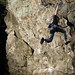 Brian Gagnon Photo 22