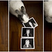 Connie He Photo 28