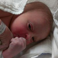 Joshua Eckhardt Photo 7