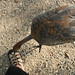 Janet Keener Photo 23