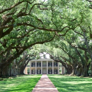 Allison Floyd Photo 34