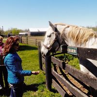 Carol Lentz Photo 19